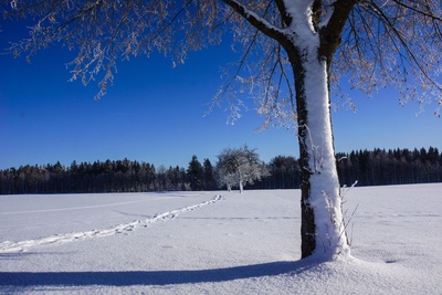 Weihnachten